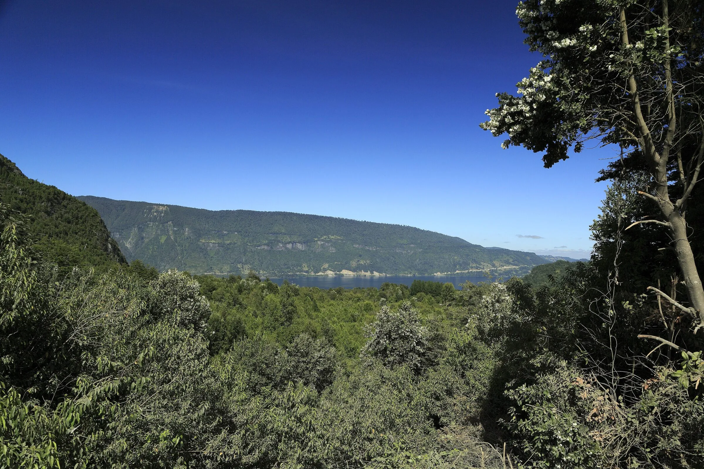 Lago Calafquén.