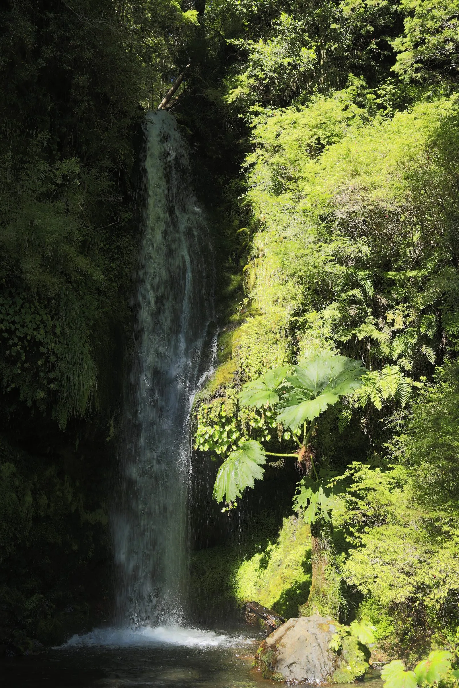 Termas Geométricas