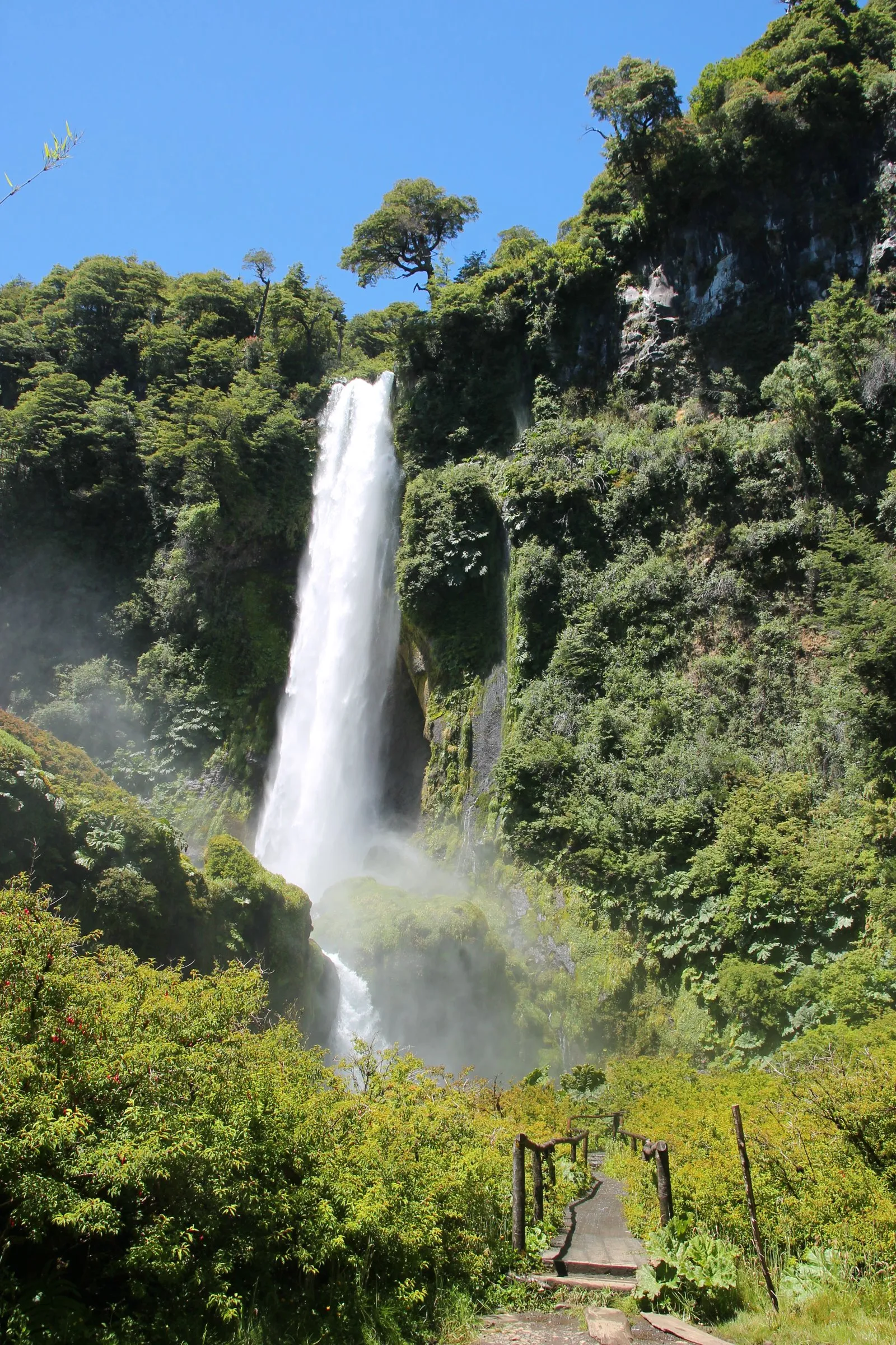 Salto El León, en el sector Palguín.