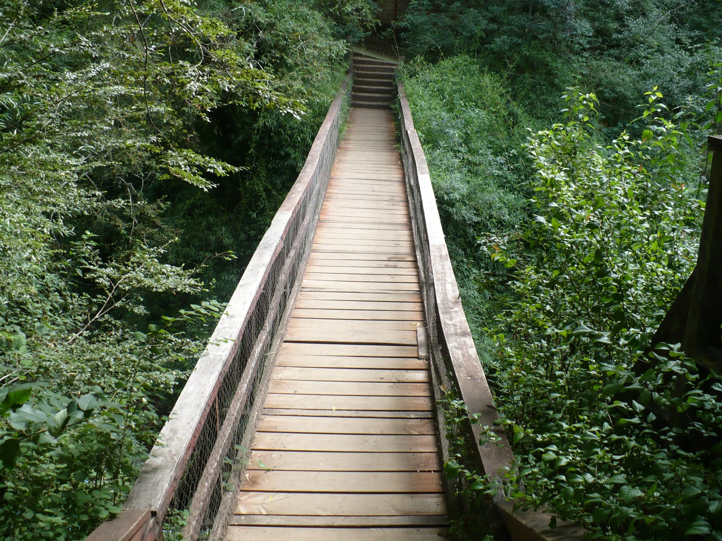 Termas de San Luis